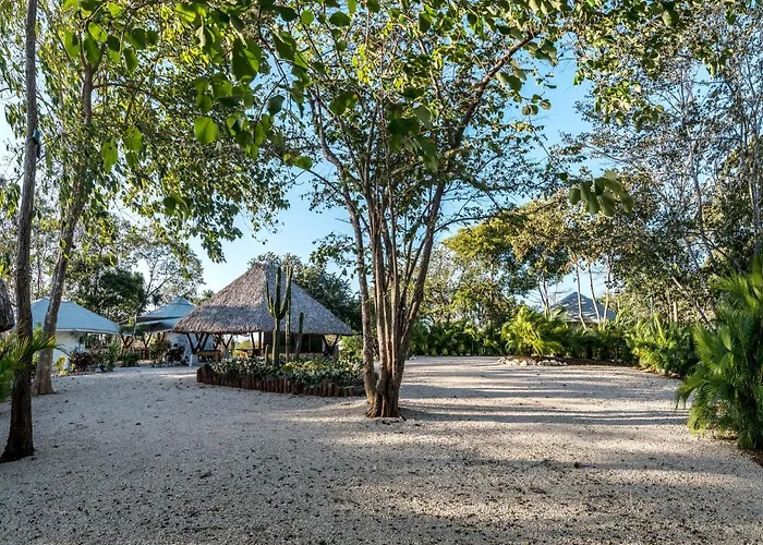 Mikado Natural Hotel