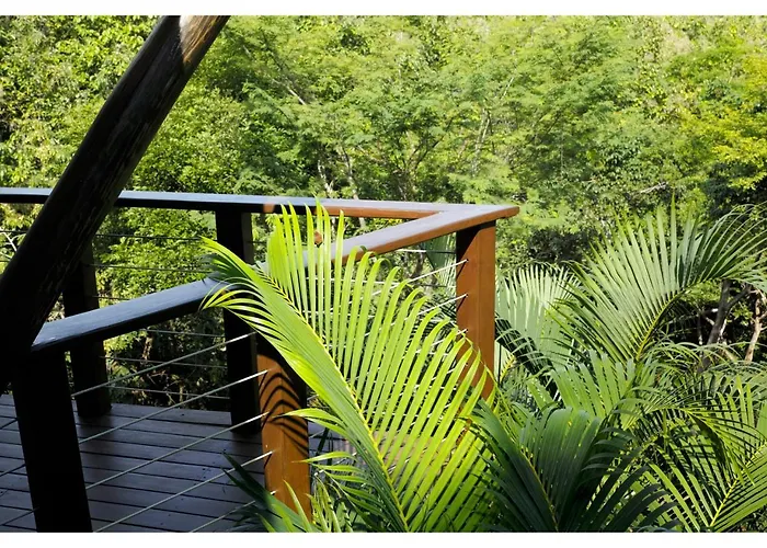 Hotel Mikado Natural 4*